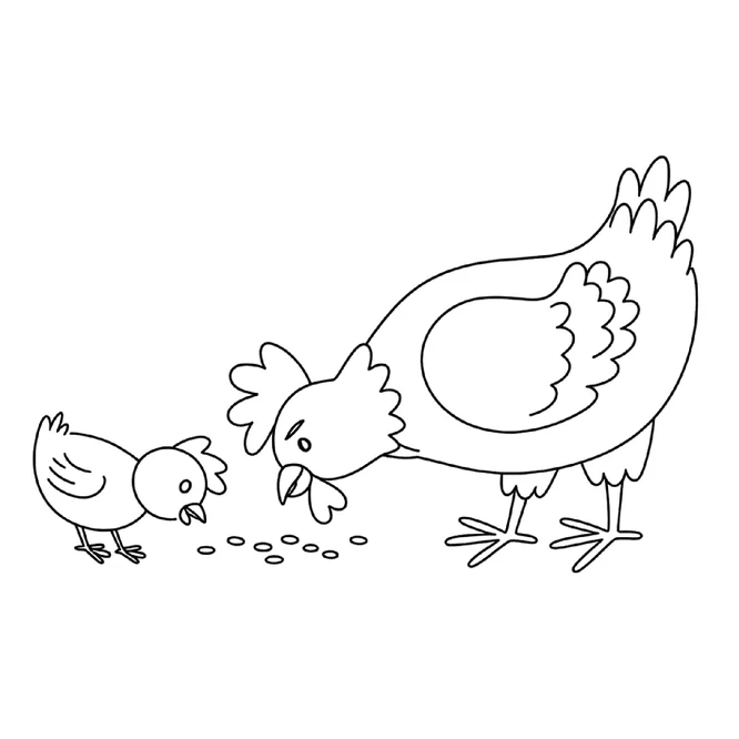 Desenhos de galinha para imprimir e colorir - educação infantil (página 1)